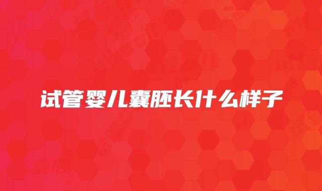 试管婴儿囊胚长什么样子