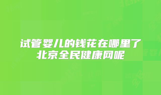 试管婴儿的钱花在哪里了北京全民健康网呢