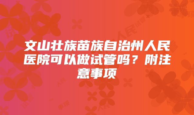 文山壮族苗族自治州人民医院可以做试管吗？附注意事项