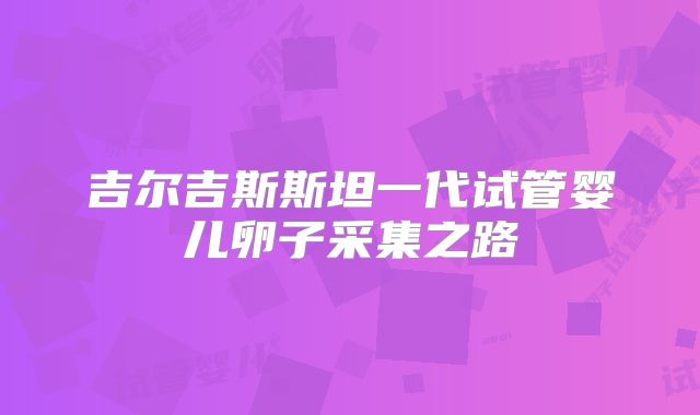 吉尔吉斯斯坦一代试管婴儿卵子采集之路