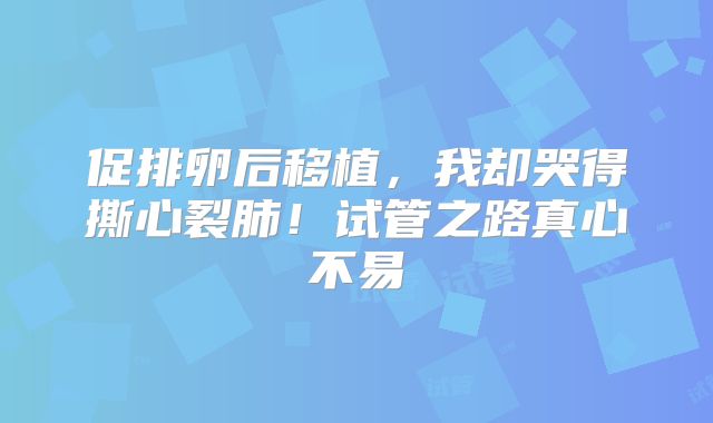 促排卵后移植,我却哭得撕心裂肺!试管之路真心不易
