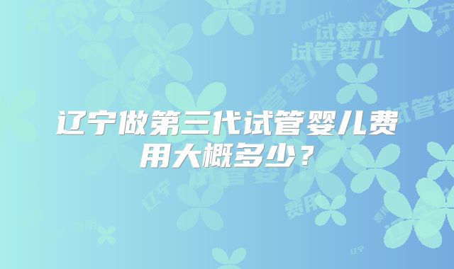 辽宁做第三代试管婴儿费用大概多少?