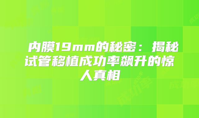 内膜19mm的秘密:揭秘试管移植成功率飙升的惊人真相