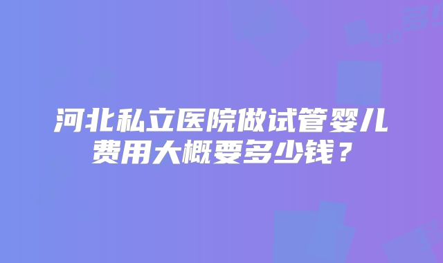 河北私立医院做试管婴儿费用大概要多少钱？