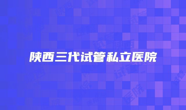 陕西三代试管私立医院