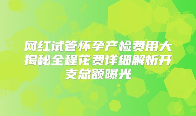 网红试管怀孕产检费用大揭秘全程花费详细解析开支总额曝光