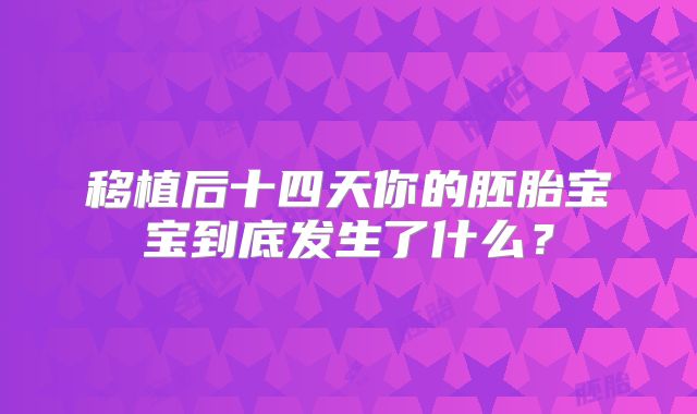 移植后十四天你的胚胎宝宝到底发生了什么?