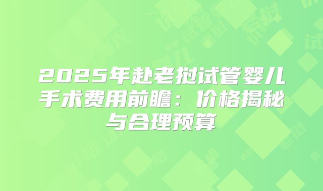 2025年赴老挝试管婴儿手术费用前瞻:价格揭秘与合理预算