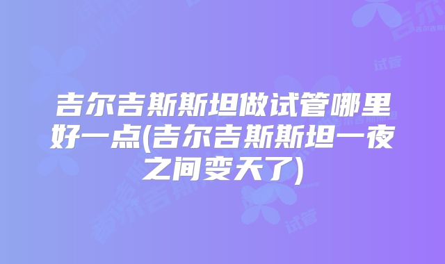 吉尔吉斯斯坦做试管哪里好一点(吉尔吉斯斯坦一夜之间变天了)