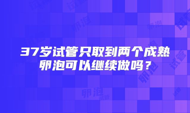 37岁试管只取到两个成熟卵泡可以继续做吗?