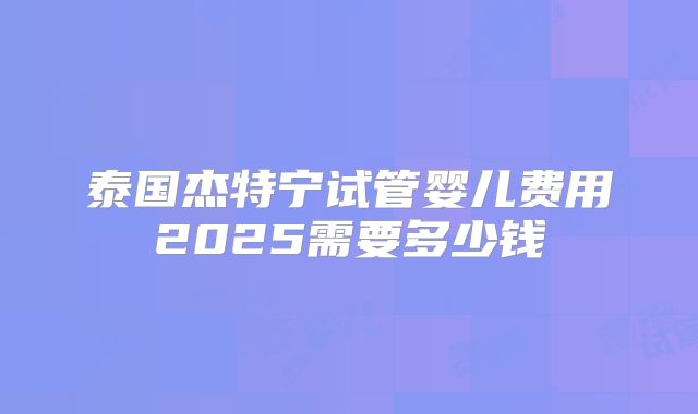 泰国杰特宁试管婴儿费用2025需要多少钱