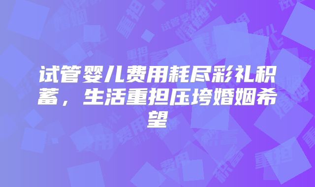 试管婴儿费用耗尽彩礼积蓄，生活重担压垮婚姻希望