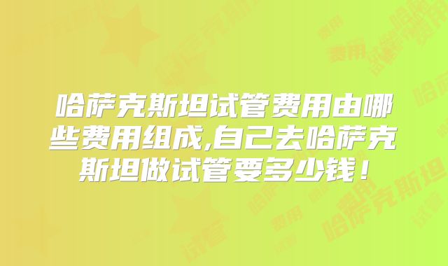 哈萨克斯坦试管费用由哪些费用组成,自己去哈萨克斯坦做试管要多少钱!