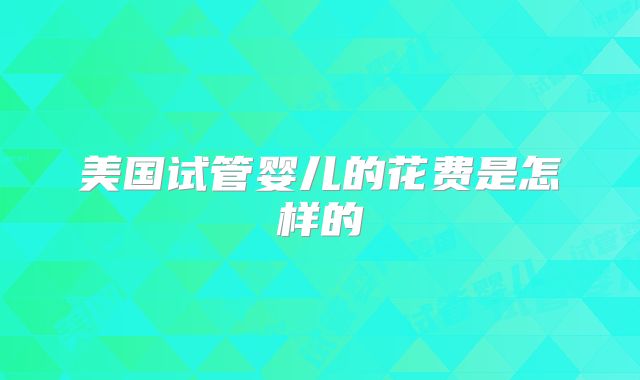 美国试管婴儿的花费是怎样的