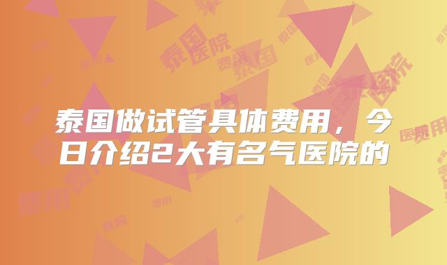 泰国做试管具体费用,今日介绍2大有名气医院的