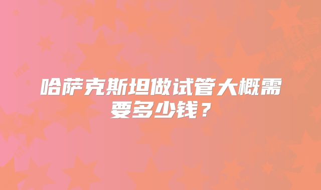 哈萨克斯坦做试管大概需要多少钱？