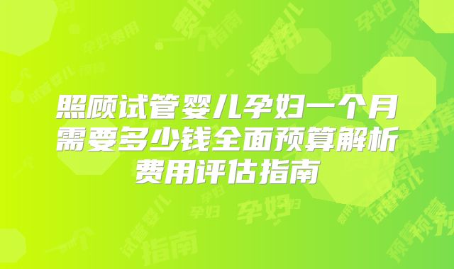 照顾试管婴儿孕妇一个月需要多少钱全面预算解析费用评估指南