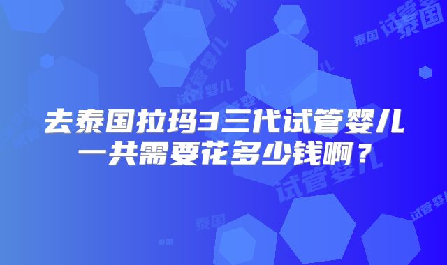 去泰国拉玛3三代试管婴儿一共需要花多少钱啊?