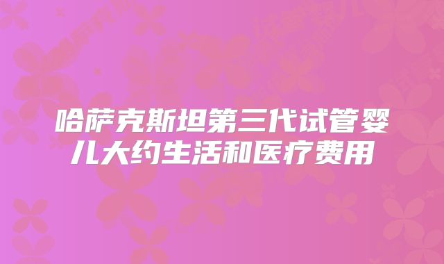哈萨克斯坦第三代试管婴儿大约生活和医疗费用