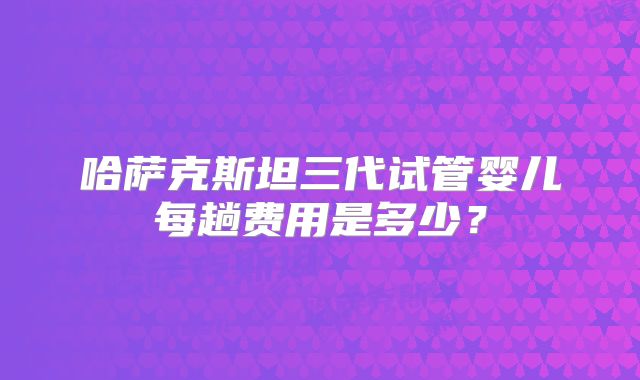 哈萨克斯坦三代试管婴儿每趟费用是多少?