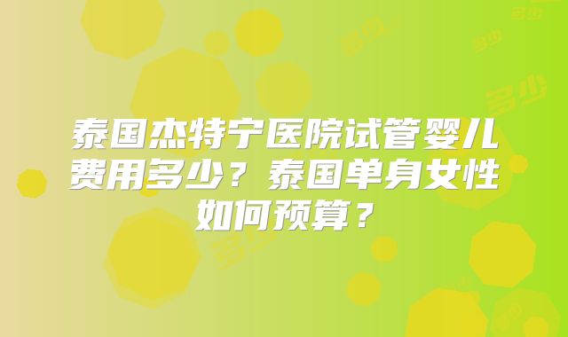 泰国杰特宁医院试管婴儿费用多少？泰国单身女性如何预算？