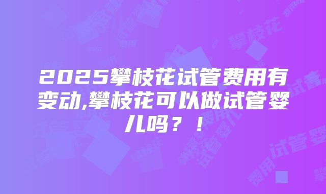 2025攀枝花试管费用有变动,攀枝花可以做试管婴儿吗？！