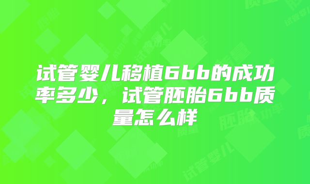 试管婴儿移植6bb的成功率多少,试管胚胎6bb质量怎么样