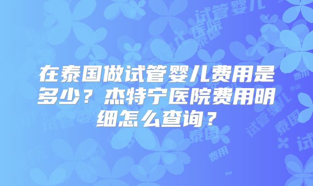 在泰国做试管婴儿费用是多少?杰特宁医院费用明细怎么查询?