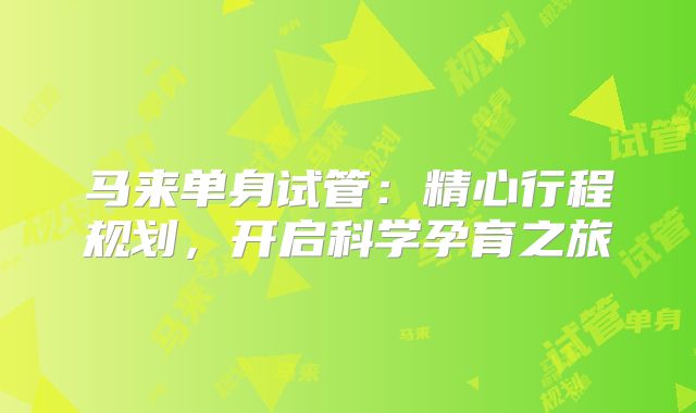 马来单身试管：精心行程规划，开启科学孕育之旅