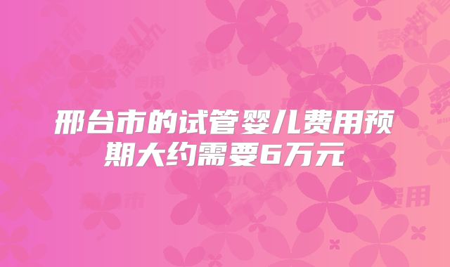 邢台市的试管婴儿费用预期大约需要6万元