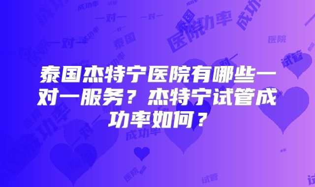泰国杰特宁医院有哪些一对一服务？杰特宁试管成功率如何？
