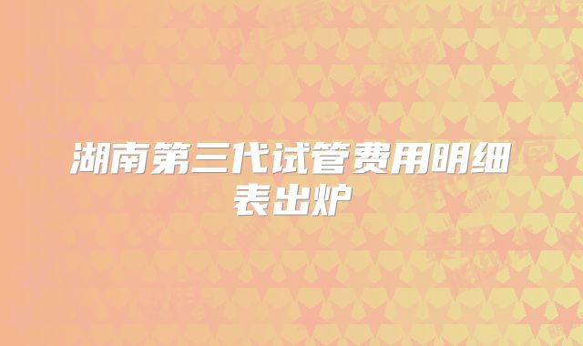 湖南第三代试管费用明细表出炉