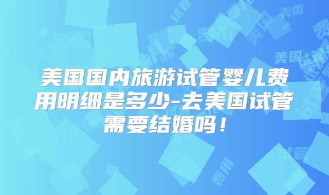 美国国内旅游试管婴儿费用明细是多少-去美国试管需要结婚吗!