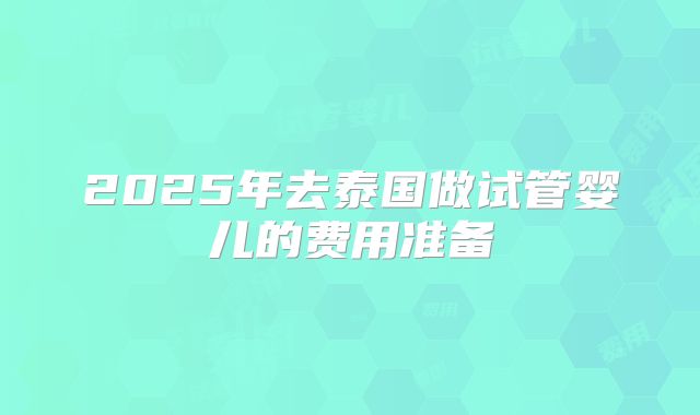 2025年去泰国做试管婴儿的费用准备