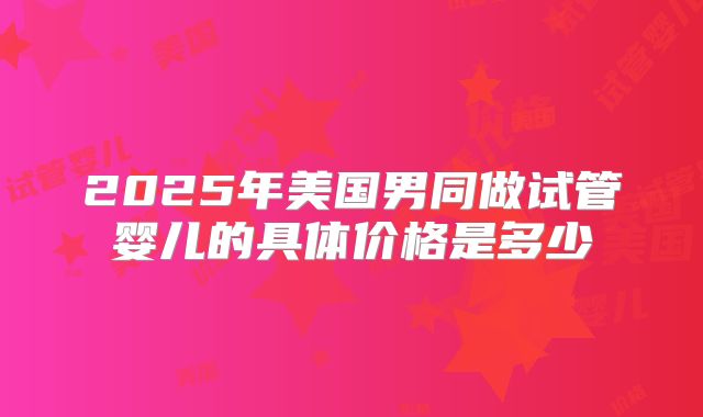 2025年美国男同做试管婴儿的具体价格是多少