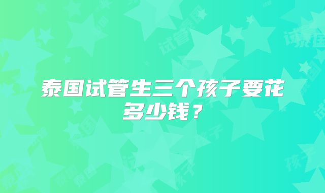 泰国试管生三个孩子要花多少钱?