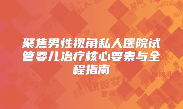 聚焦男性视角私人医院试管婴儿治疗核心要素与全程指南