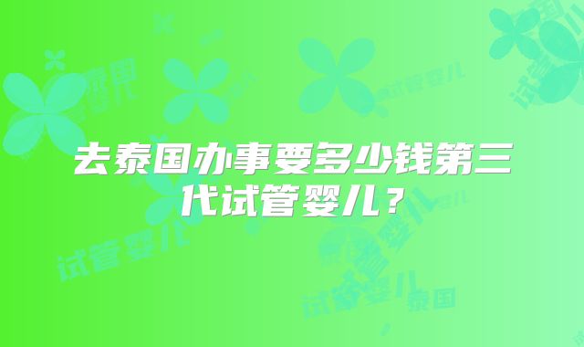 去泰国办事要多少钱第三代试管婴儿？