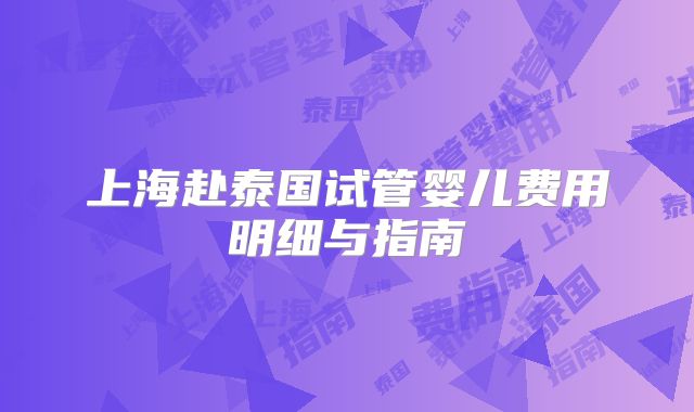 上海赴泰国试管婴儿费用明细与指南