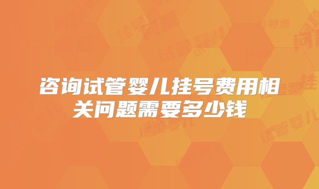 咨询试管婴儿挂号费用相关问题需要多少钱