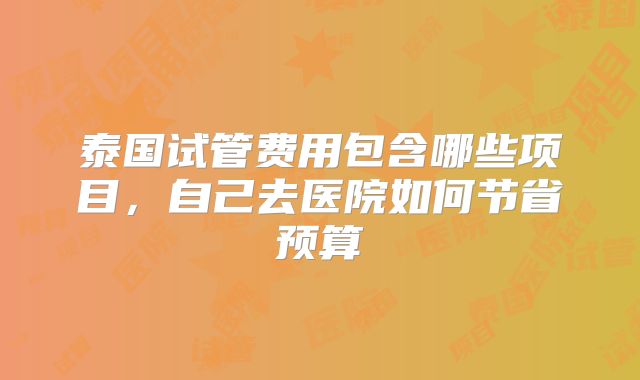 泰国试管费用包含哪些项目,自己去医院如何节省预算