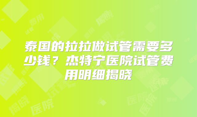 泰国的拉拉做试管需要多少钱?杰特宁医院试管费用明细揭晓