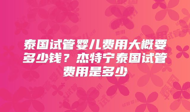 泰国试管婴儿费用大概要多少钱？杰特宁泰国试管费用是多少