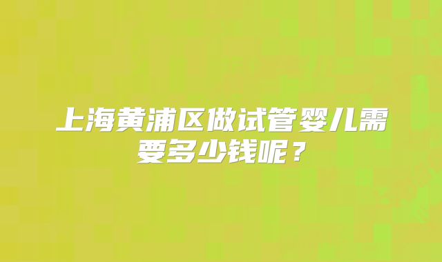 上海黄浦区做试管婴儿需要多少钱呢？