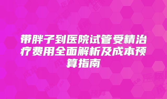 带胖子到医院试管受精治疗费用全面解析及成本预算指南