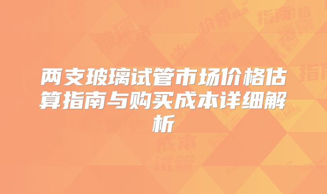 两支玻璃试管市场价格估算指南与购买成本详细解析
