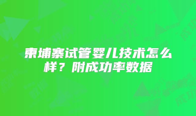 柬埔寨试管婴儿技术怎么样？附成功率数据