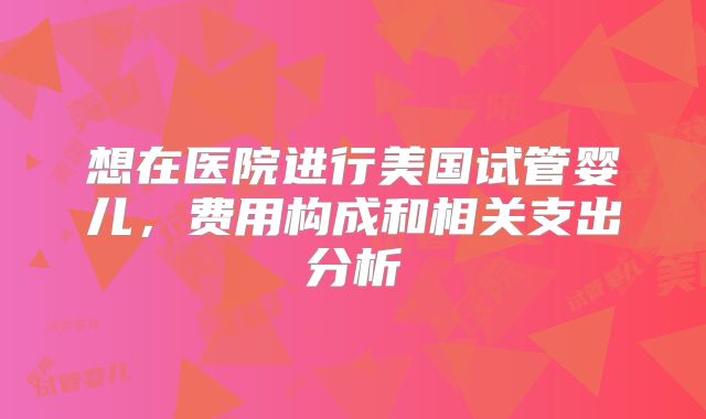 想在医院进行美国试管婴儿，费用构成和相关支出分析