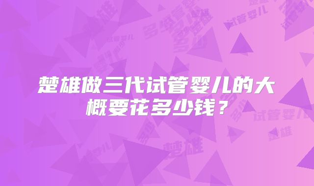 楚雄做三代试管婴儿的大概要花多少钱？