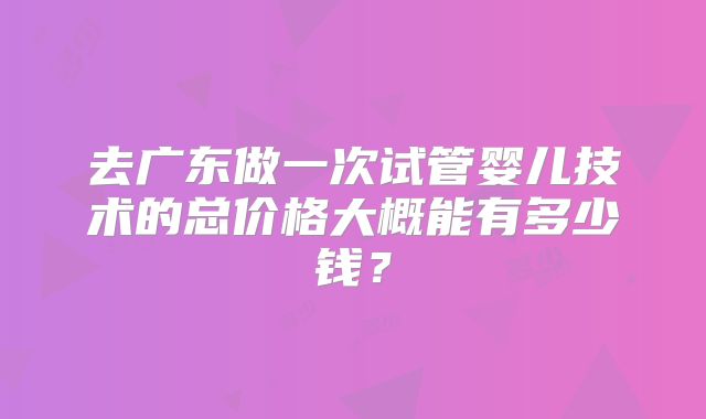 去广东做一次试管婴儿技术的总价格大概能有多少钱?
